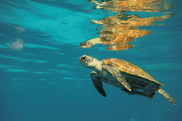 Περιβάλλον